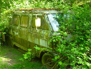Ford in Bushes